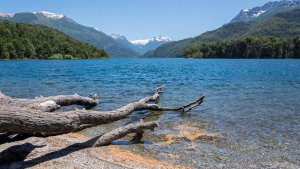 Sorprendentes niveles de nutrientes podrían poner en riesgo los lagos de la Patagonia