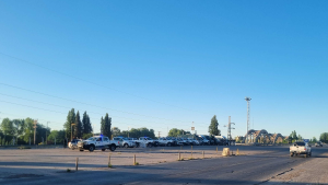 Gendarmería en el puente Cipolletti- Neuquén por marcha de ATE este jueves: hay demoras, no descartan un corte