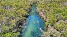 Imagen de Entre montañas y lagos: La magia de un verano en San Martín de los Andes