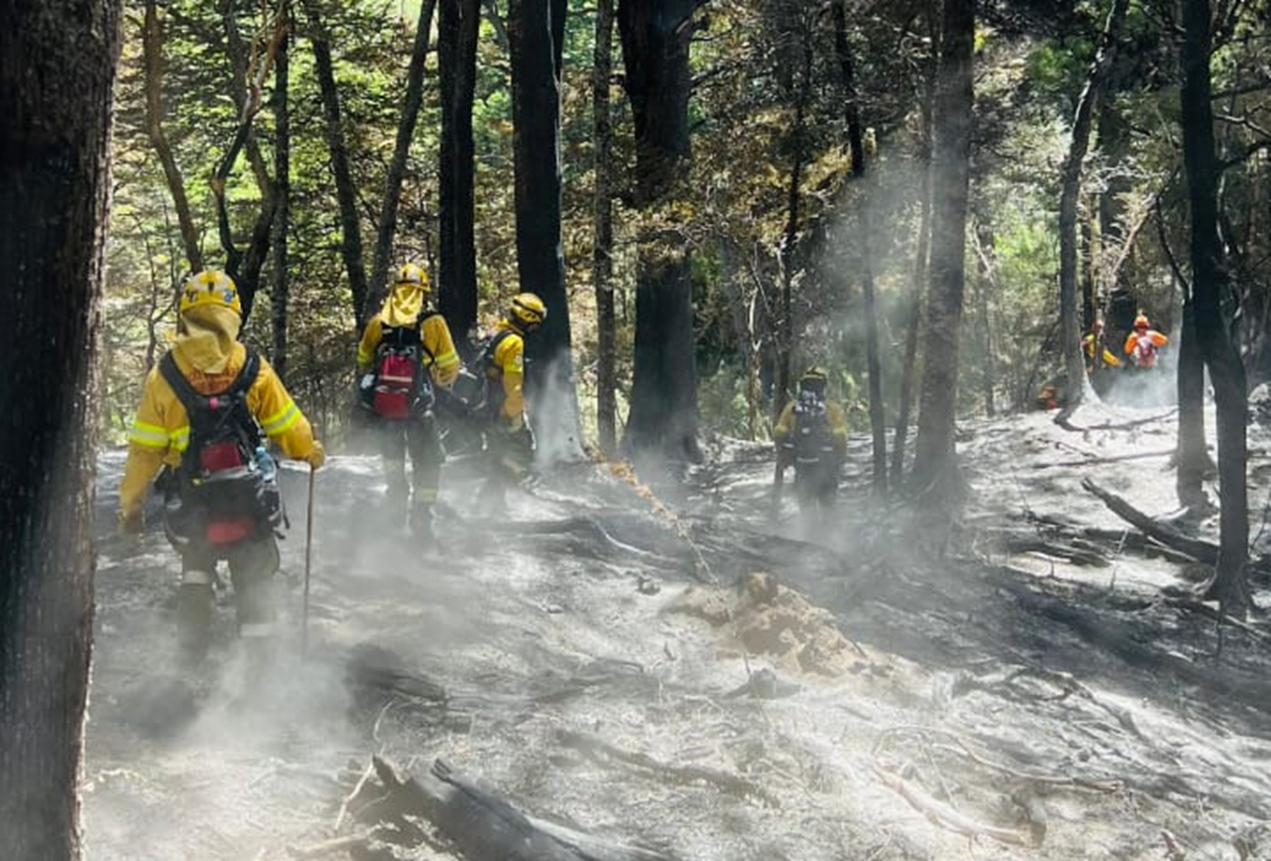 El incendio tiene lugar a 60 kilómetros de Bariloche. Foto: gentileza. 