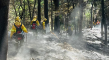 Imagen de La lluvia no finalizó el incendio forestal de Bariloche y el viento impidió la ayuda aérea