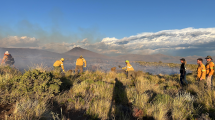 Imagen de Video | Incendios forestales en Neuquén: fueron controlados con apoyo aéreo, pero se mantiene el alerta