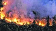 Imagen de Incendios forestales en Neuquén este lunes: tras las tormentas, cómo es la situación en la provincia