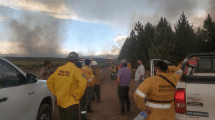 Imagen de Incendios forestales en Neuquén este lunes: focos y preocupación por las tormentas