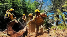 Imagen de Incendios forestales en el Parque Lanín de Neuquén: todos los focos fueron extinguidos