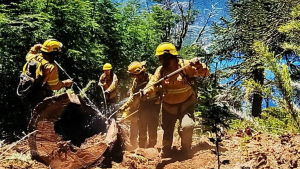 Incendios forestales en el Parque Lanín de Neuquén: todos los focos fueron extinguidos