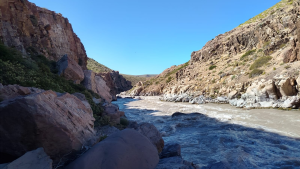 Con buzos y balsas buscan al criancero que cayó al río Varvarco en Neuquén