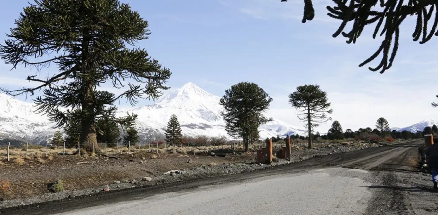 Rutas Neuquén.-