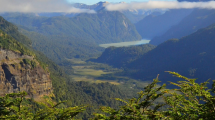 Imagen de Dura dos días y recorre una selva: la excursión del parque nacional Nahuel Huapi que fue habilitada