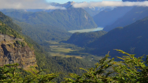 Dura dos días y recorre una selva: la excursión del parque nacional Nahuel Huapi que fue habilitada