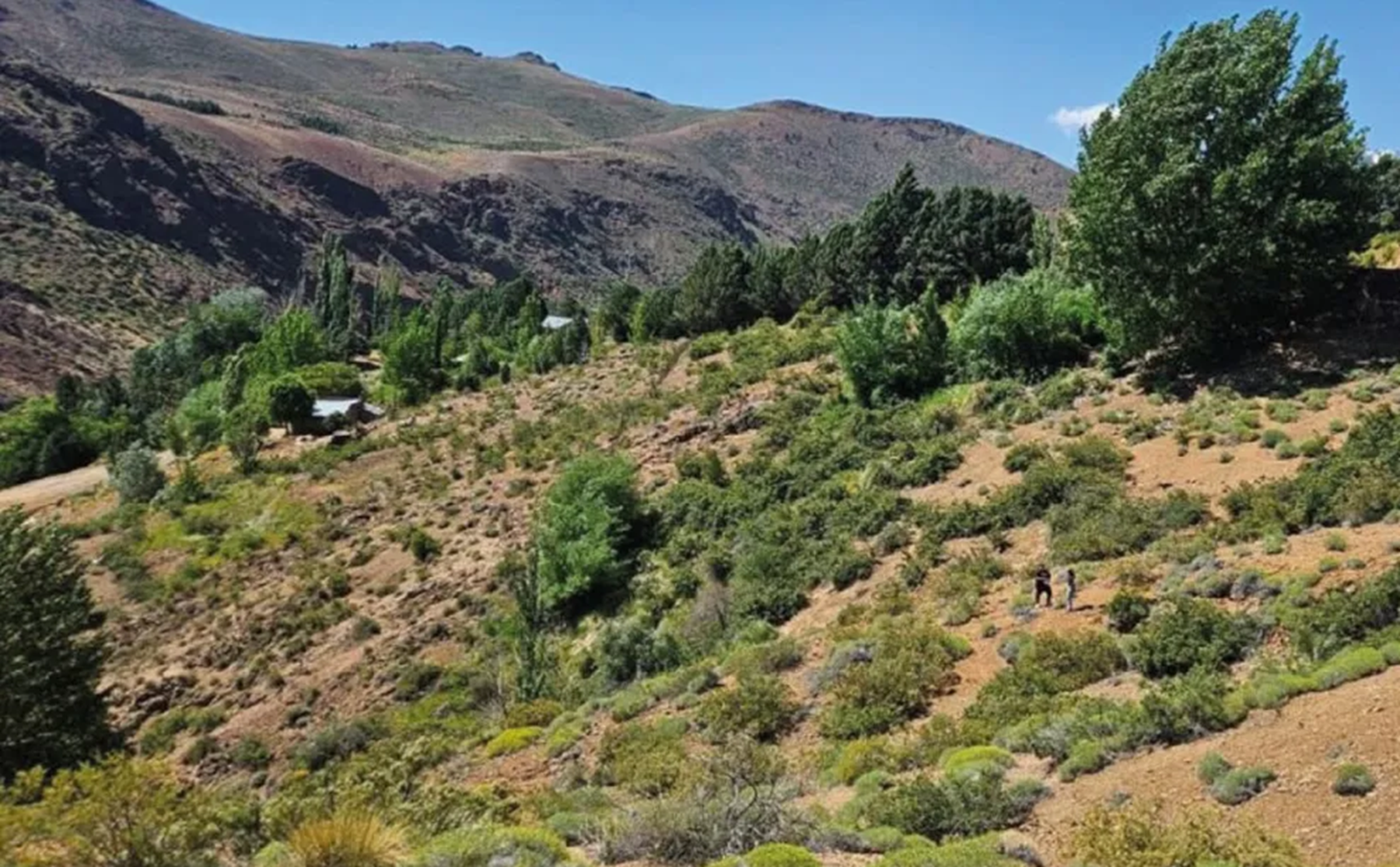 Regularizan tierras en Neuquén. (Foto: Neuquén Informa).