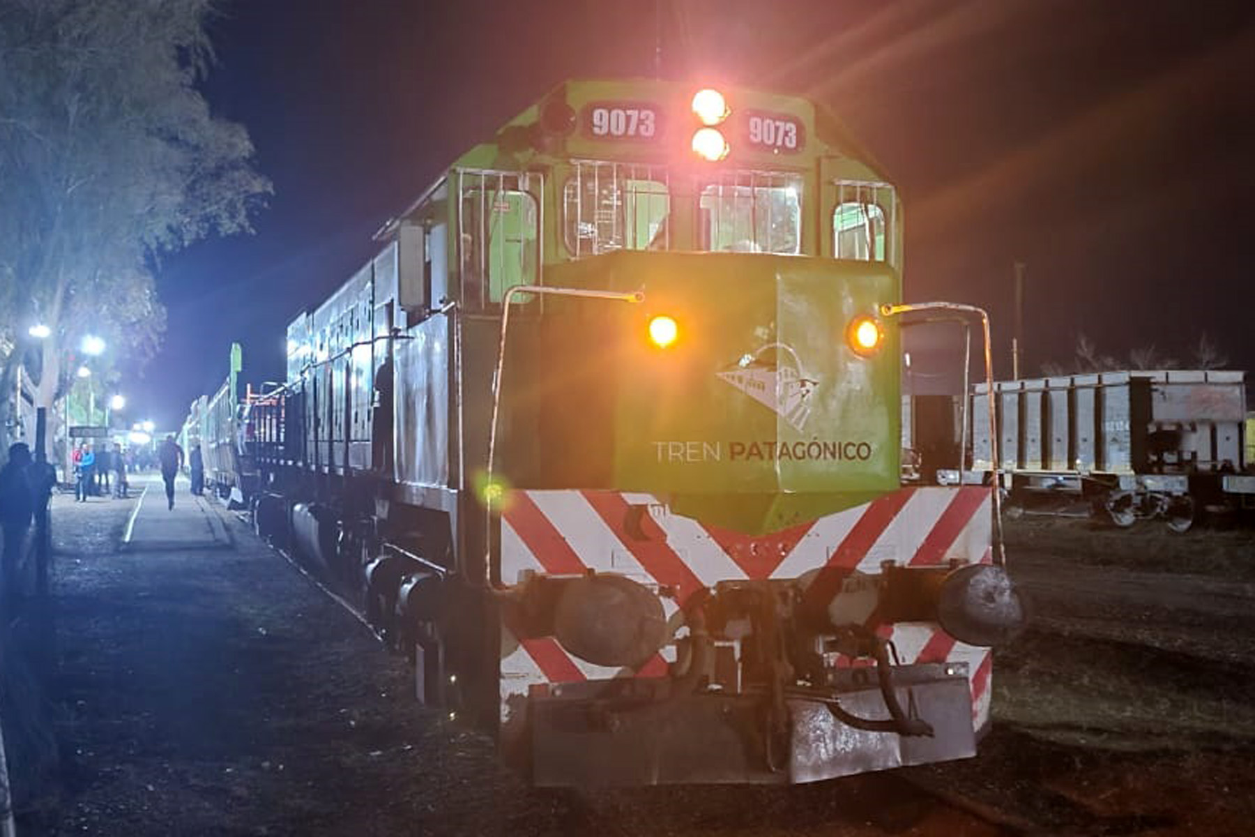 Vuelve el Tren Patagónico. Foto: archivo.