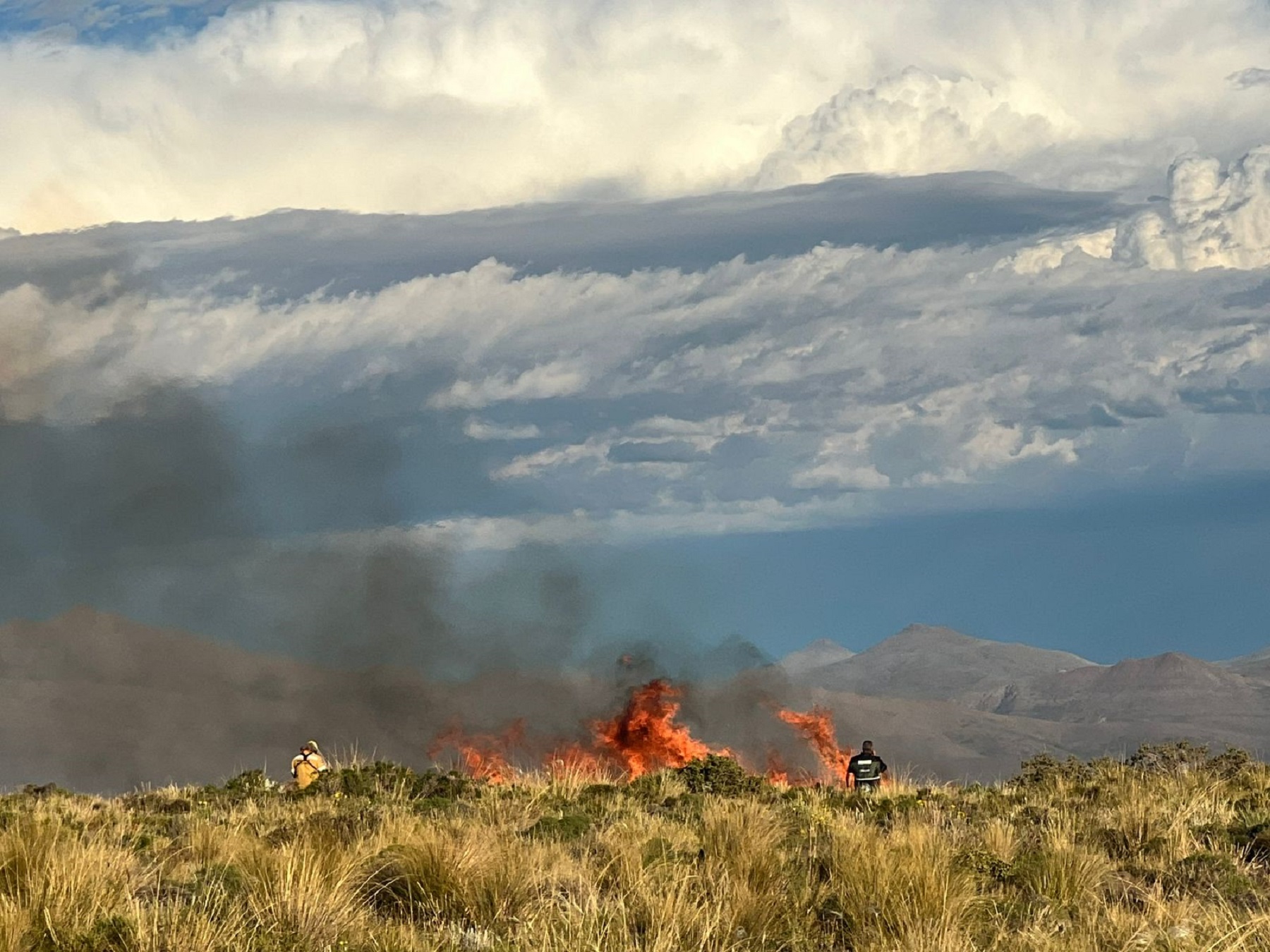 Incendios en Neuquén. Foto: gentileza.