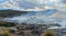 Imagen de Récord histórico de incendios forestales en Neuquén: esperan apoyo aéreo de Nación para combatirlos