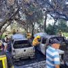 Imagen de Grave incendio en Villa Pehuenia: el fuego afectó a vehículos, un galpón y parte del bosque