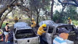 Grave incendio en Villa Pehuenia: el fuego afectó a vehículos, un galpón y parte del bosque