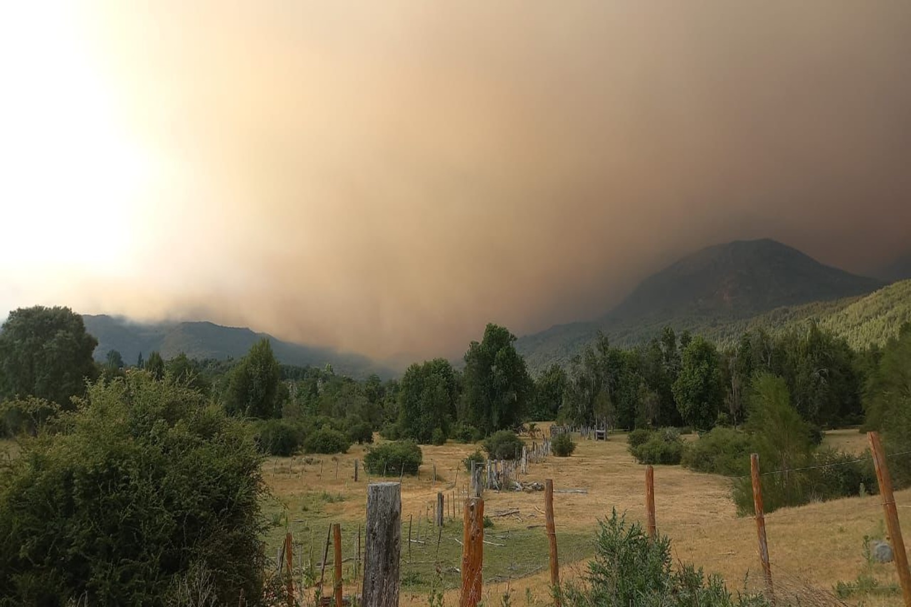 un incendio que afecta la zona sur del parque Nahuel Huapi. Foto: gentileza.