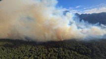 Imagen de Incendios en el parque Nahuel Huapi: con Bariloche bajo humo, más de 60 personas luchan contra el fuego