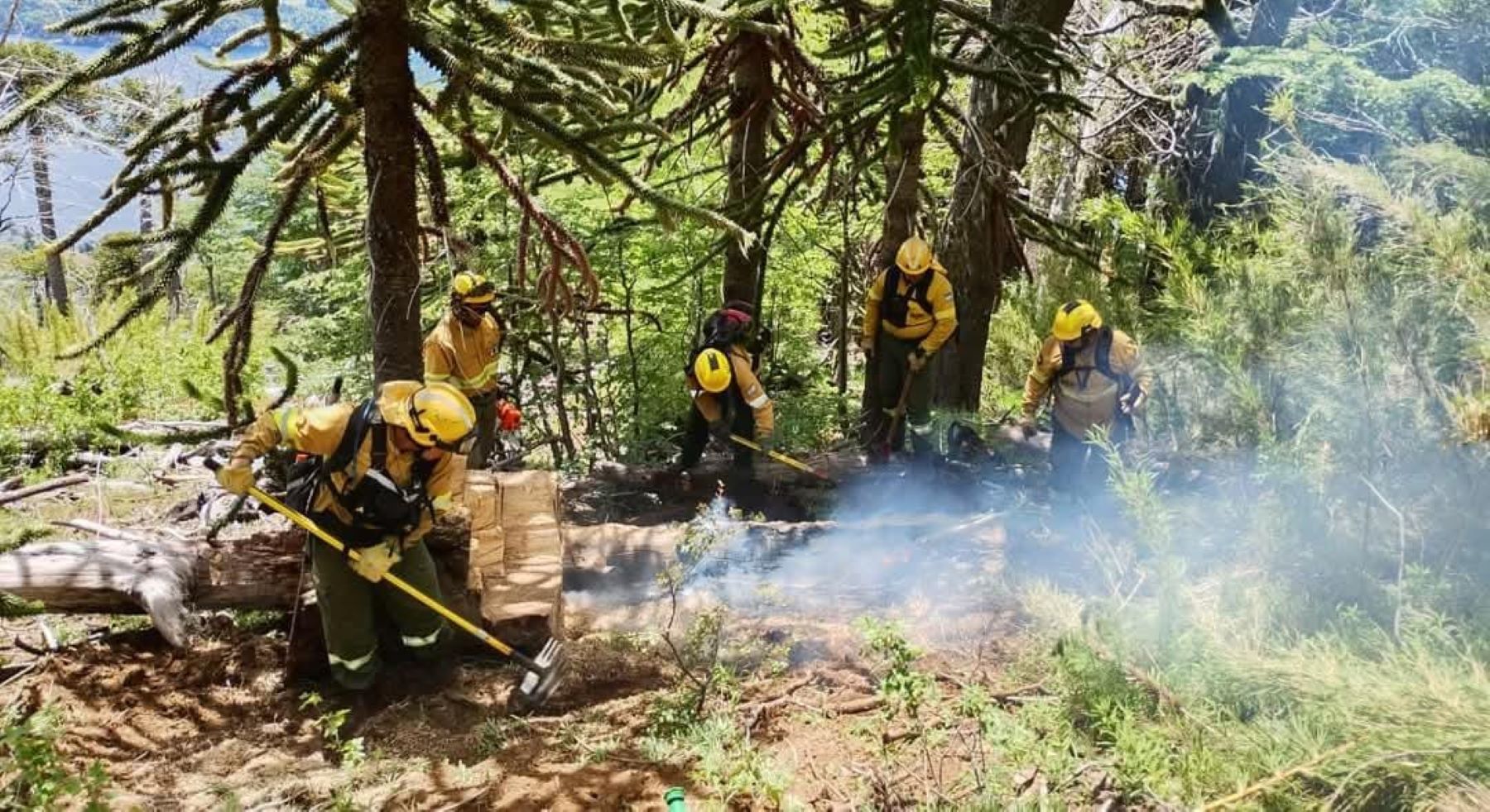 Combaten incendios luego de las tormentas eléctricas. Foto: Gentileza Facebook Parque Nacional Lanín. 