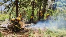 Imagen de Incendios forestales en Neuquén tras las tormentas: hay un foco activo en el parque Lanín