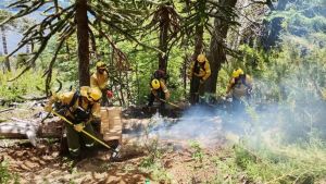 Incendios forestales en Neuquén tras las tormentas: hay un foco activo en el parque Lanín