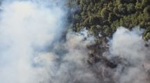 Imagen de Ya ardieron 4.400 hectáreas en Bariloche: el incendio persiste tras 24 días de lucha