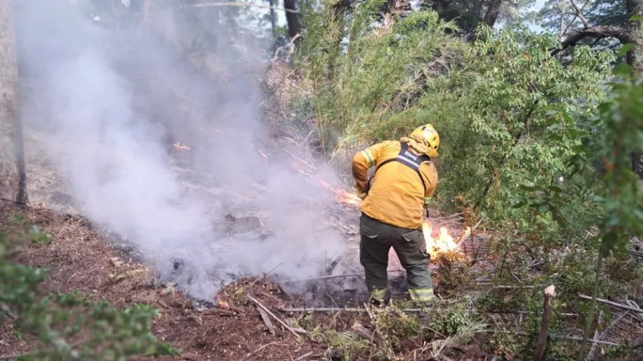 La  tarea de los combatientes de incendios se intensifica en verano, pero Parques no les asegura continuidad laboral. (archivo)