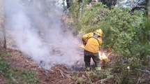 Imagen de Brigadistas de incendios en alerta: Parques no da señales sobre los contratos