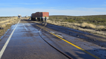 Imagen de Dos muertos en un triple choque sobre la Ruta 3: las víctimas eran oriundas de Sierra Grande