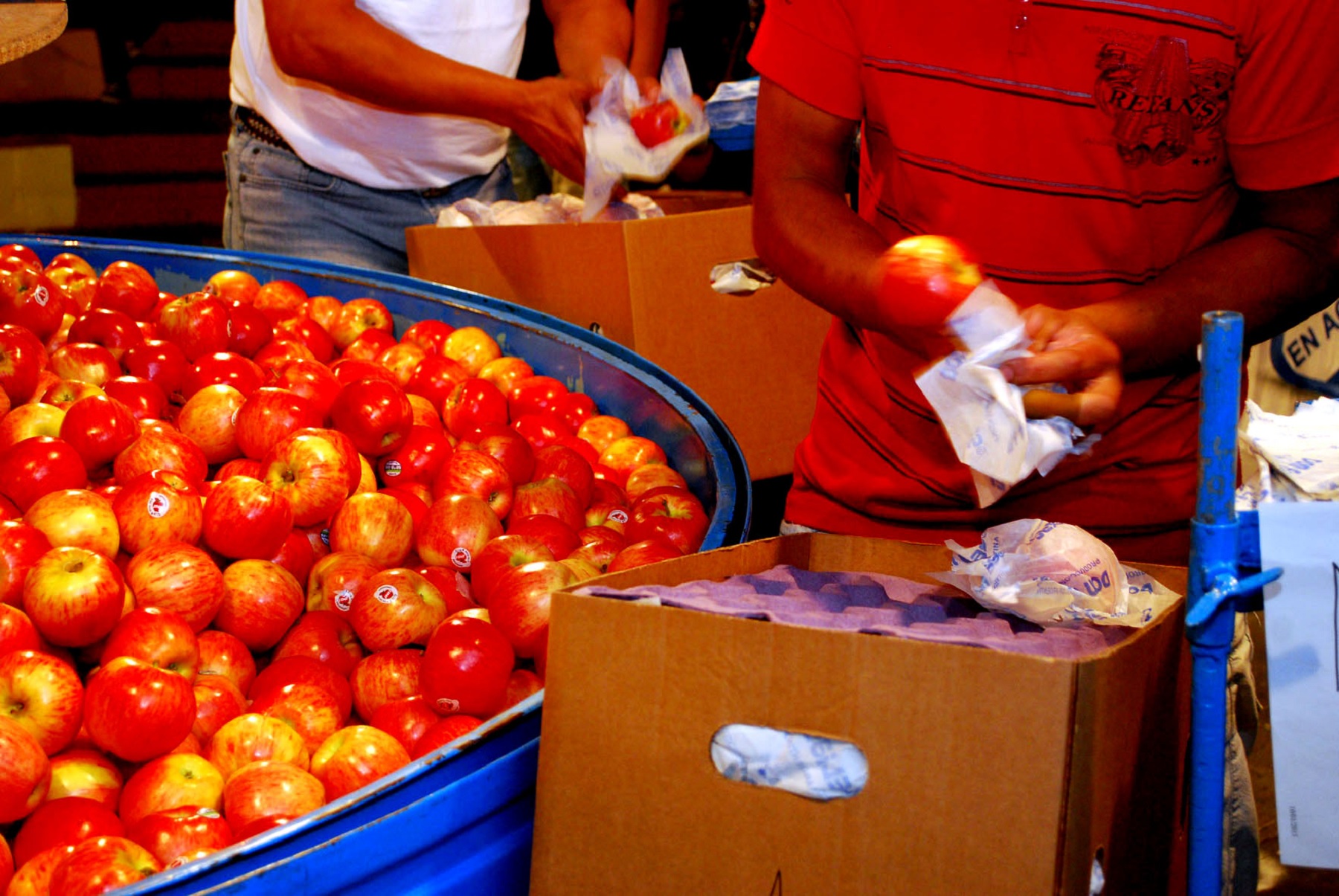 Concurso de Embaladores de la Fiesta Nacional de la Manzana 2025.-