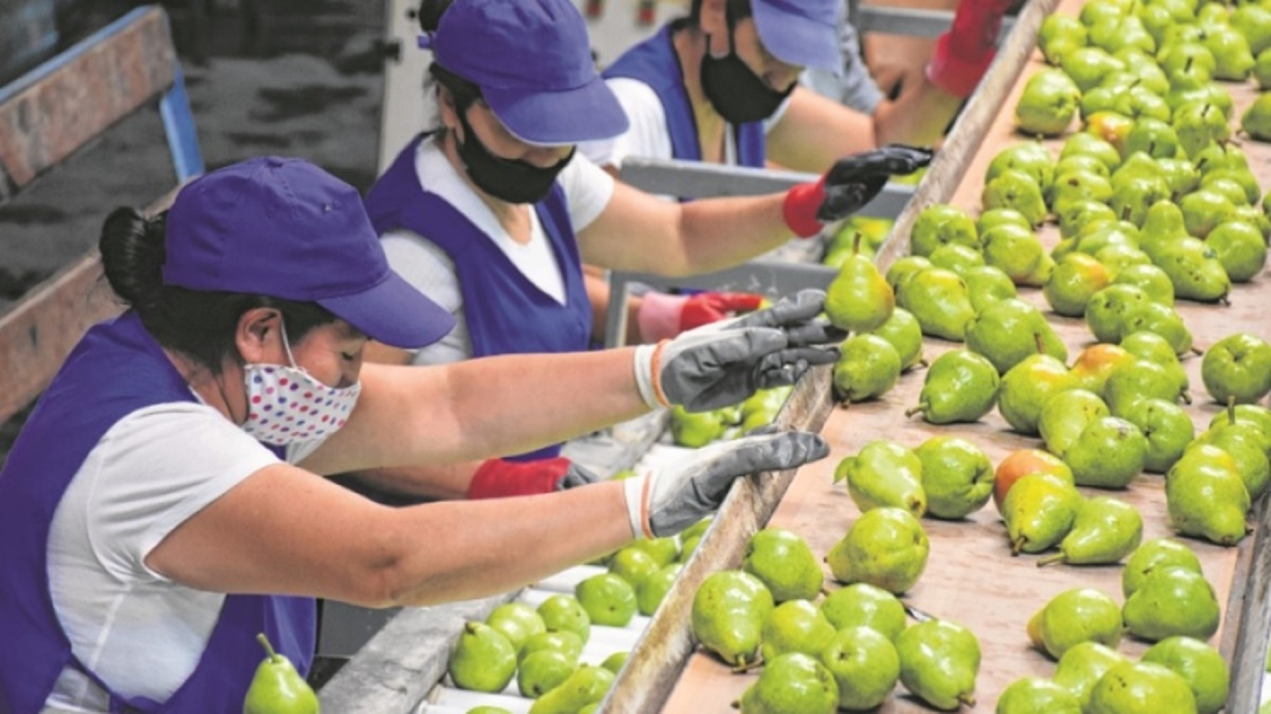 Curso de embalador en Cipolletti 