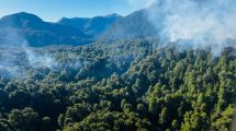 Imagen de Incendio forestal en Parque Nahuel Huapi, al sur de Río Negro: hay dos focos activos