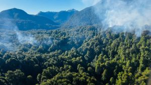 Incendio forestal en Parque Nahuel Huapi, al sur de Río Negro: hay dos focos activos