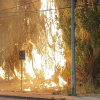 Imagen de Un incendio de pastizales casi deja sin luz a un sector de Cipolletti: qué pasó