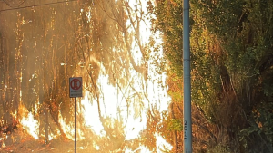 Un incendio de pastizales casi deja sin luz a un sector de Cipolletti: qué pasó