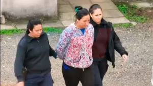 La mujer detenida en Neuquén por el caso Loan rompió el silencio: “Se lo tuvo que haber llevado alguien»