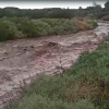 Imagen de Video: liberan las rutas a Rincón de los Sauces tras la tormenta que llenó de barro la ciudad