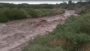 Video | En minutos, la tormenta llenó de agua y barro a Rincón de los Sauces: hay rutas cortadas