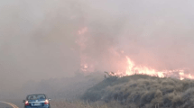 Imagen de Incendios forestales intencionales en Neuquén: ‘No toman conciencia de lo que pueden provocar’