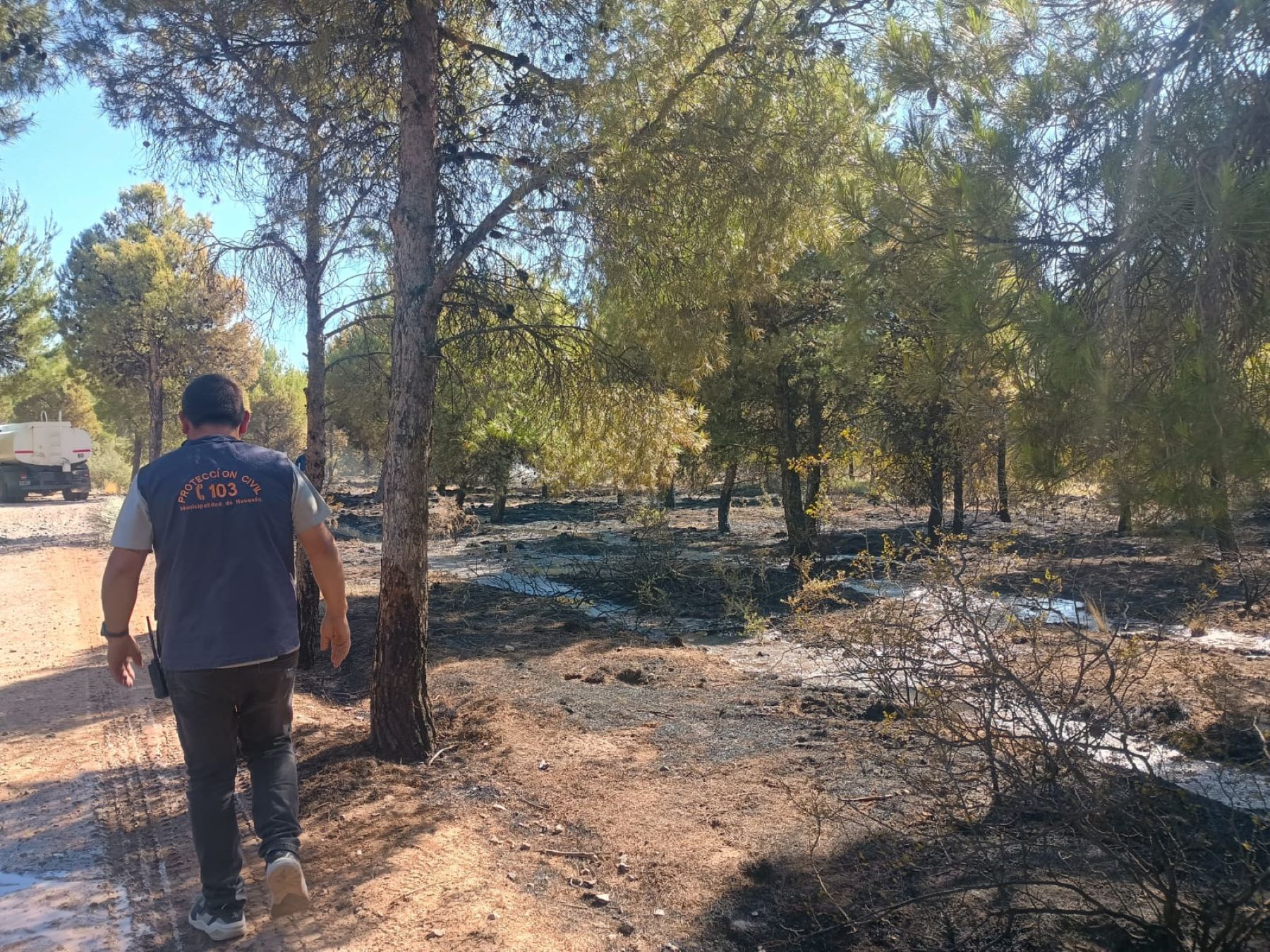 Un incendio afectó Parque Norte de Neuquén. Foto: Gentileza. 