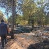 Imagen de Incendio en  Parque Norte: buscan al responsable y se activó una patrulla preventiva en Neuquén