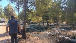 Incendio en  Parque Norte: buscan al responsable y se activó una patrulla preventiva en Neuquén