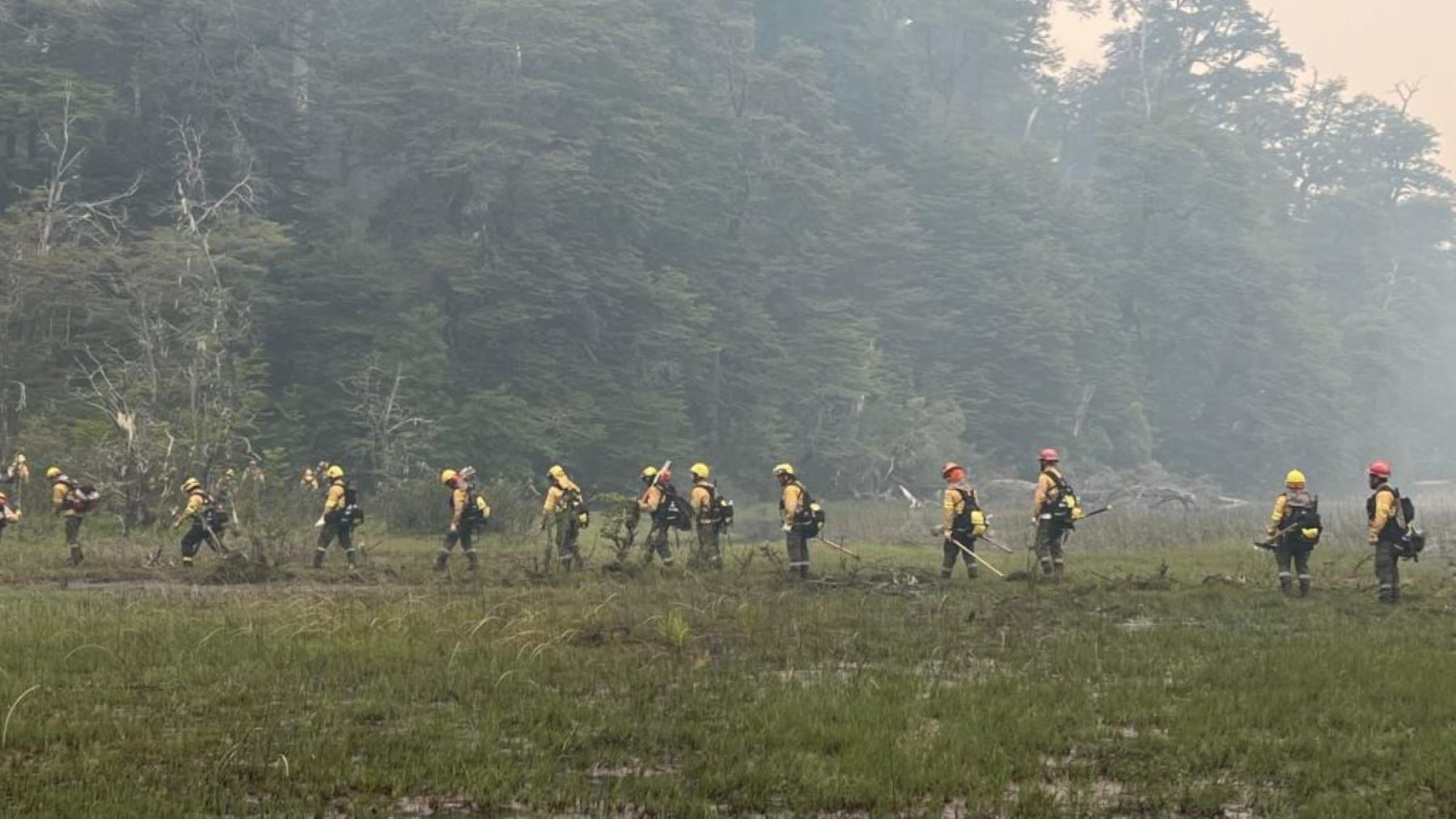 Continúa el combate del fuego en el incendio al sur del área protegida. Foto: Gentileza Parque Nacional Nahuel Huapi.  