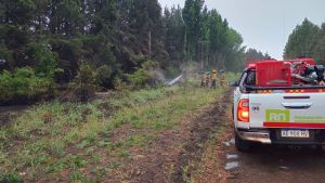 Tormentas e incendios en Río Negro y Neuquén: «Este verano se esperan máximas de 35 grados en la cordillera»