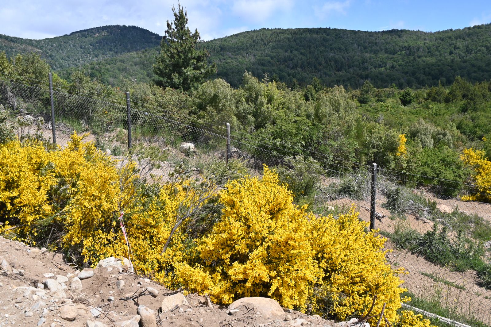 La urbanización aprobada se extenderá sobre tierras ubicadas al sur del cerro Otto. (archivo)