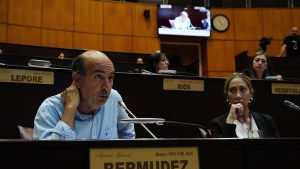 Relevamientos mapuche dividieron a los diputados de Rolando Figueroa en la Legislatura