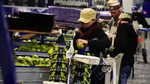 Paritaria de la fruta en Río Negro: definen la fecha para discutir los salarios de la temporada 2025