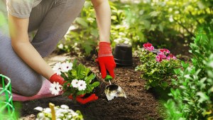 Qué es la «Gardening Therapy» que practica Bárbara Lanata y que beneficios tiene