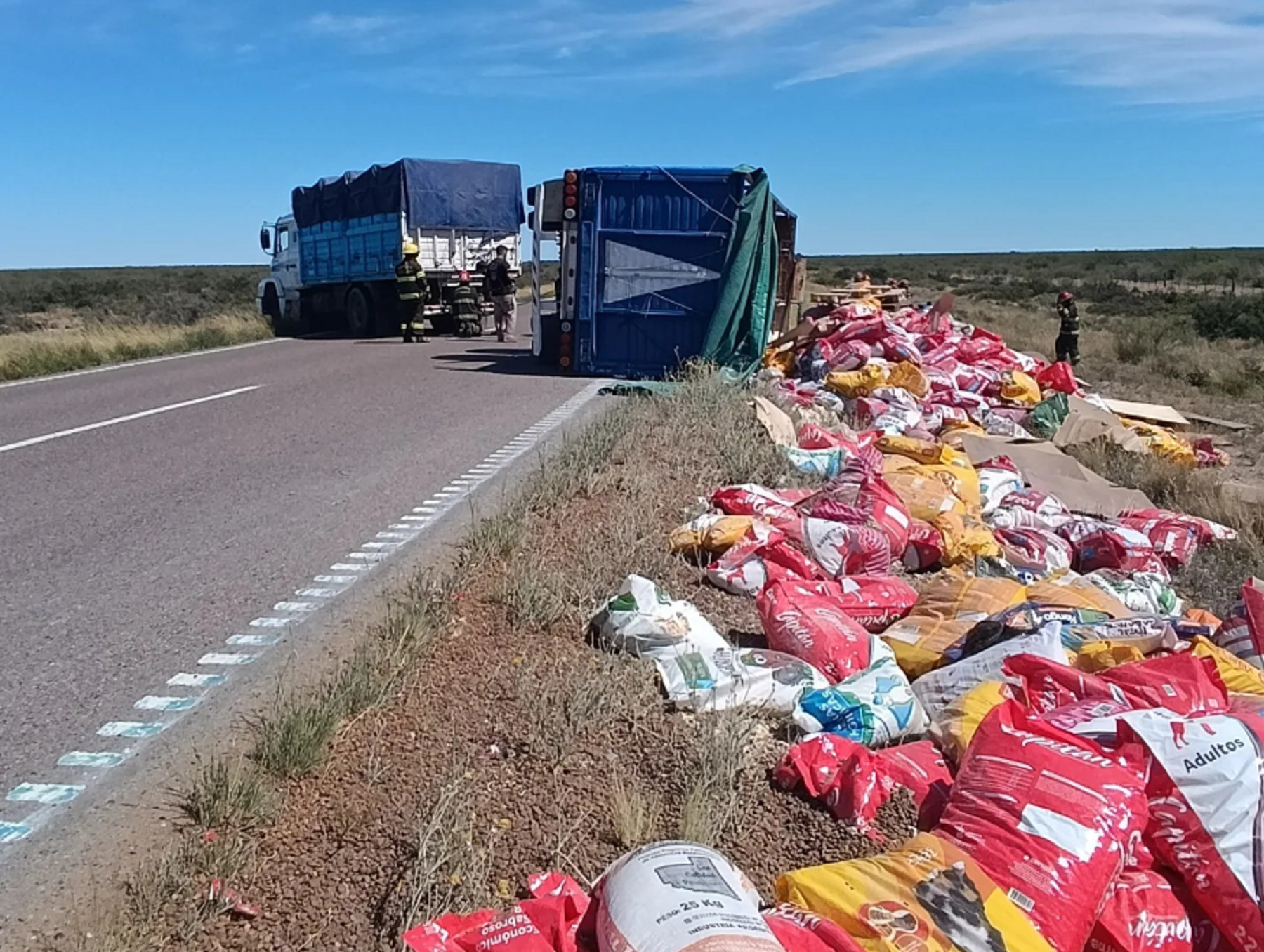 Volcó en la Ruta 251 cerca de Río Colorado. Foto: Bomberos Voluntarios Río Colorado