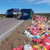 Imagen de Llevaba alimento para perros, volcó en la Ruta 251 y para no tirarlo, donó todo a refugios de Río Colorado